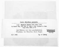 Image Associated With the Occurence